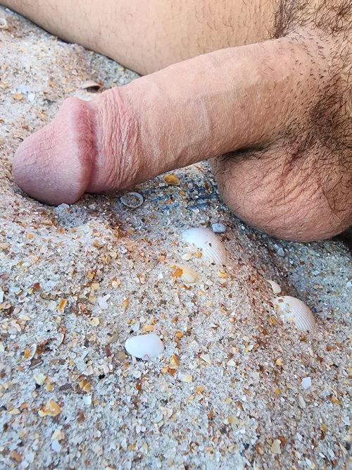 It's finally warm enough to go to the beach by InfiniteBleach