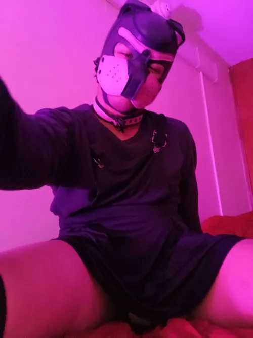 Lay your head down pup, you look tired by PupAries_