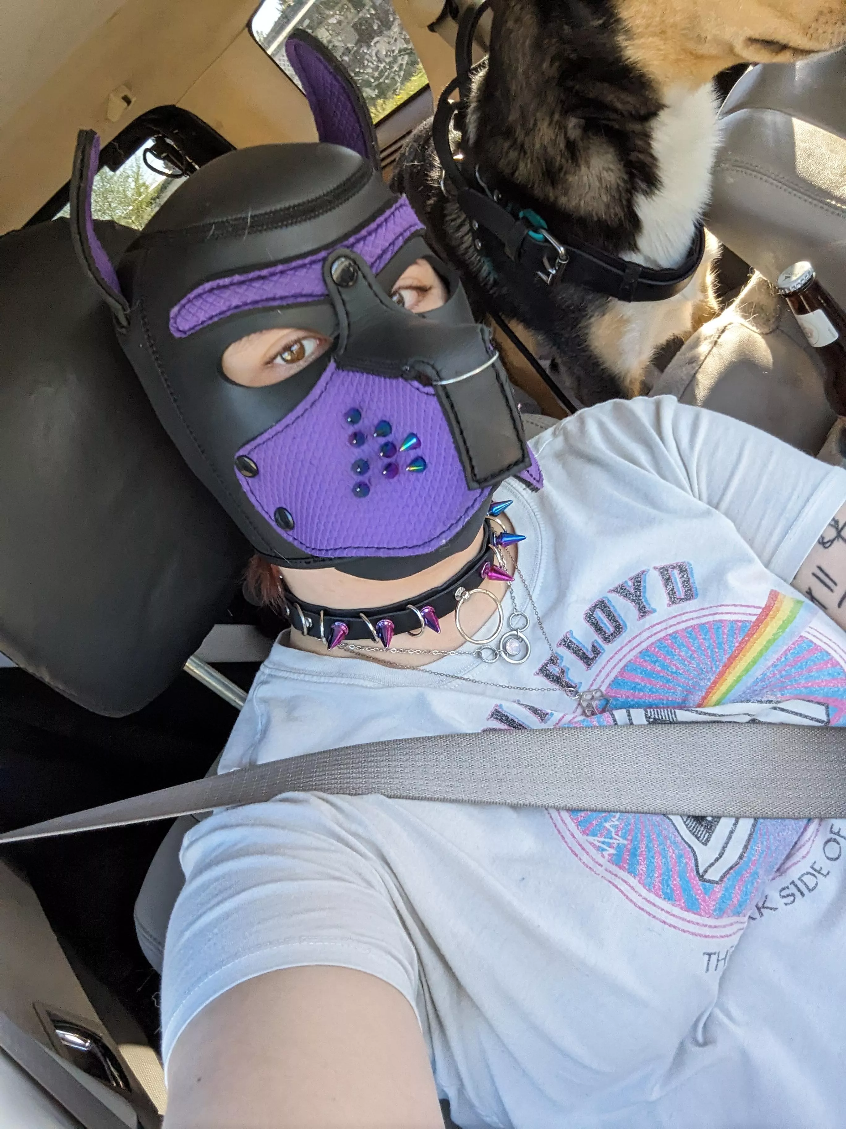 lets get pup cups!! posted by pup-atlas-