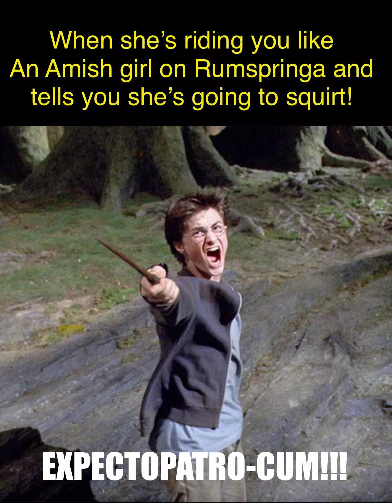 Mr. Potter… our new celebrity!  posted by notyournormalchatbot