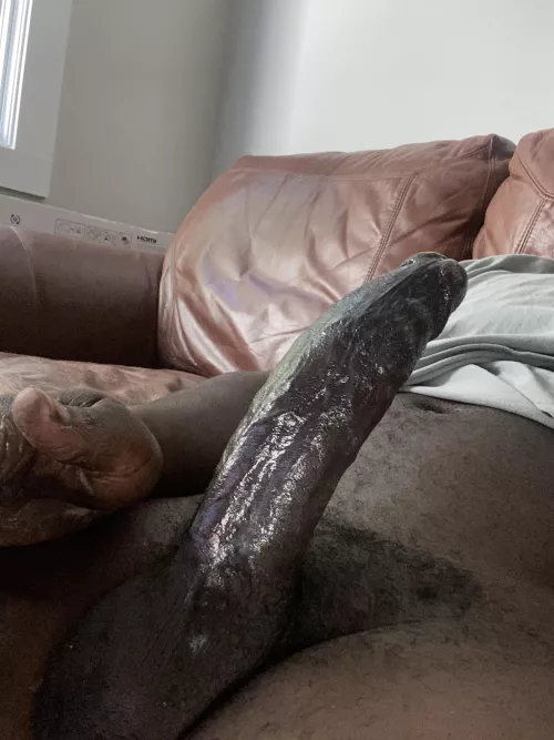 My dick should be between ur tits by howdy250