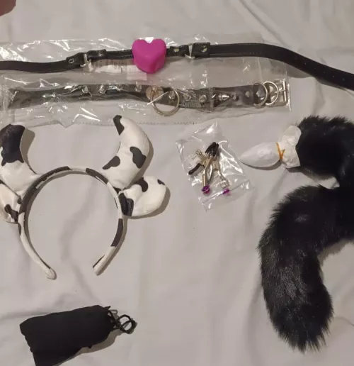 My newest toys 🐄 💜💜 by MistyEvellyn