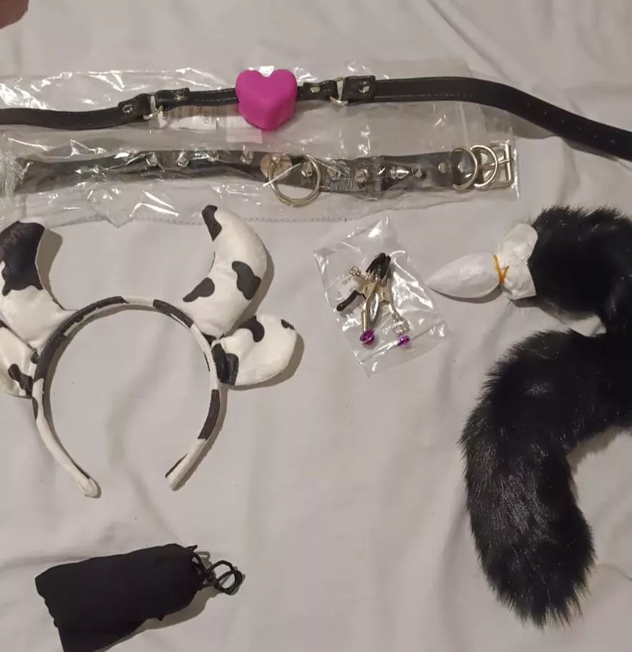 My newest toys 🐄 💜💜 posted by MistyEvellyn