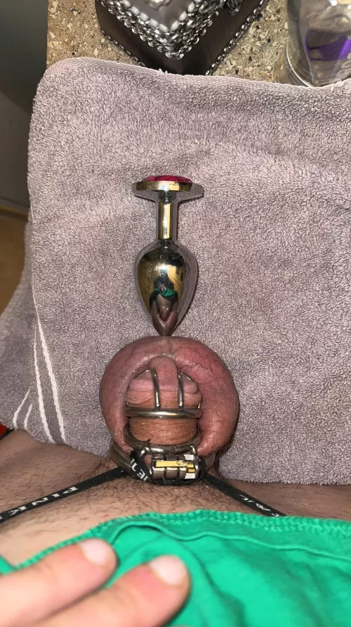 My plug is supposed to be bigger than my clit, right?🥰🔒 by sissy4femme