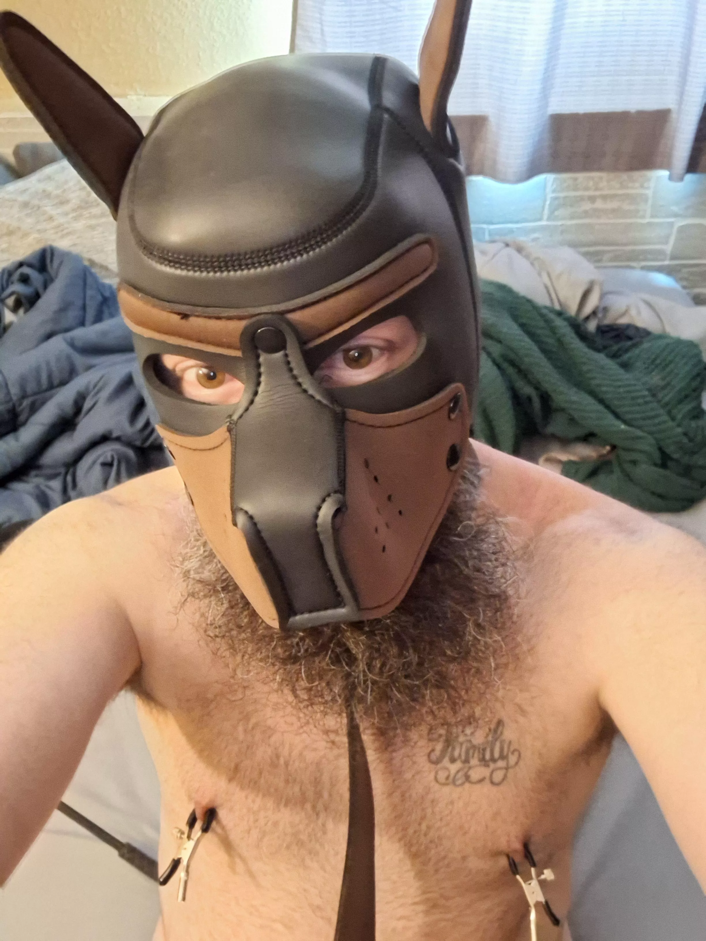 New pup 🐶 just got done getting knotted up from my sex machine  posted by mrfeeless