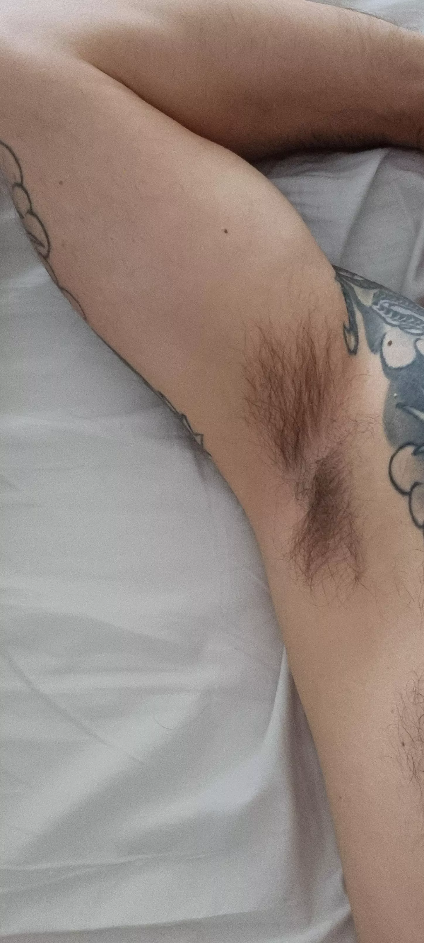 Not the hairiest but okay posted by nfcross14