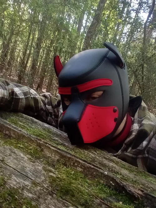 Ruff! by ItburnswhenIP69