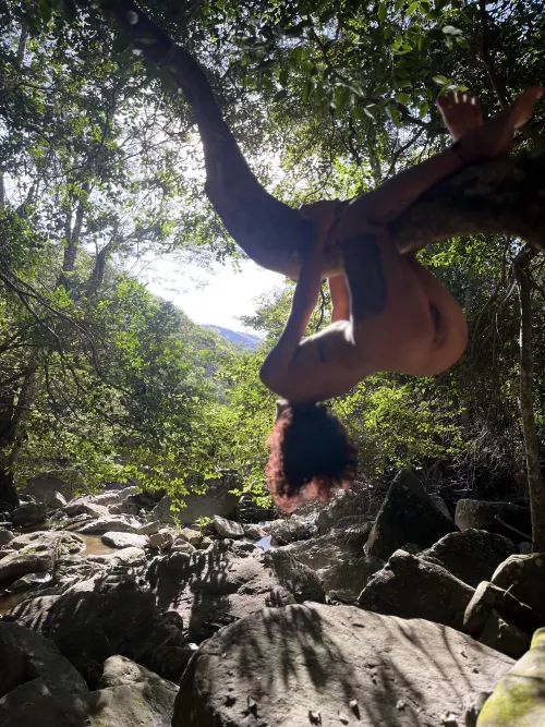 Take care of the forest and be kind by lala_lais