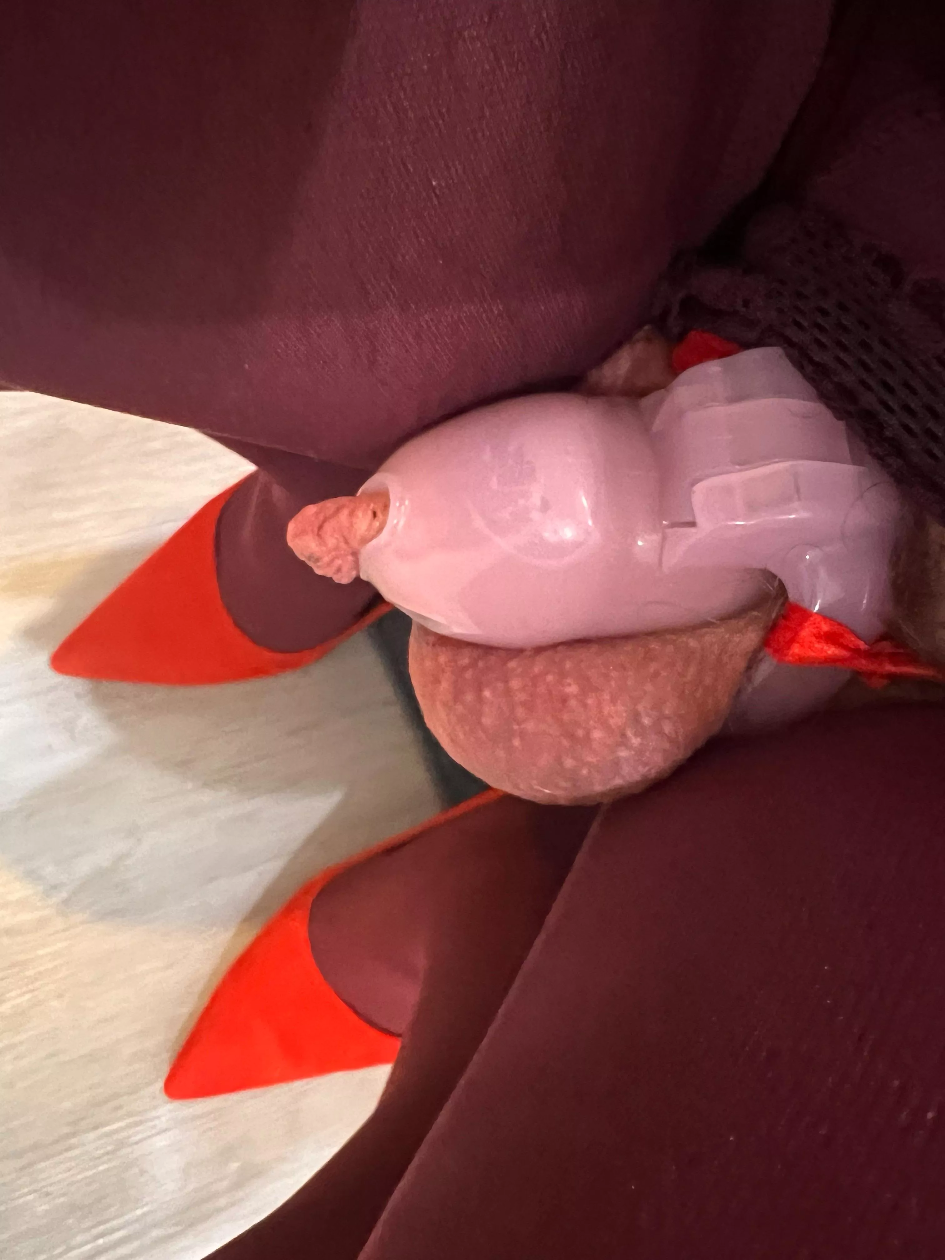 Tight how it should be posted by Accomplished-Lunch84