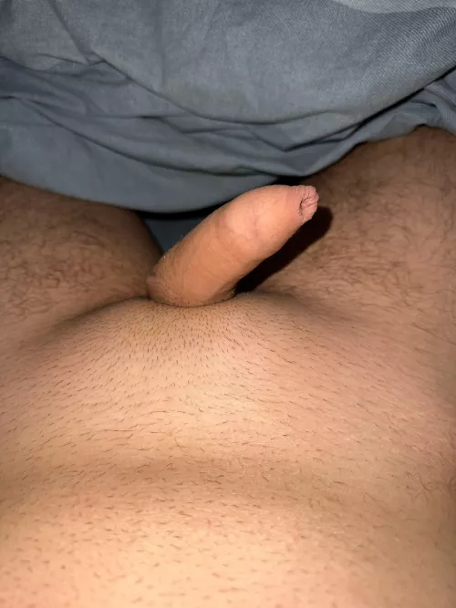 Tiny covered mushrooms 🍄‍🟫  by Reasonable_Ant6293