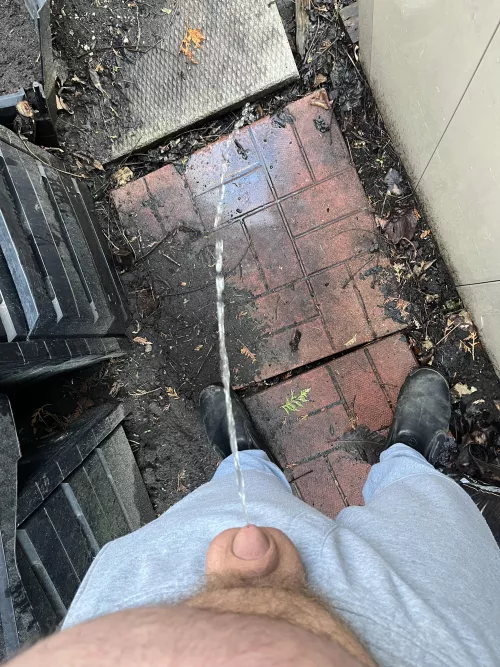 Unloading beers behind the shed by capitalcub