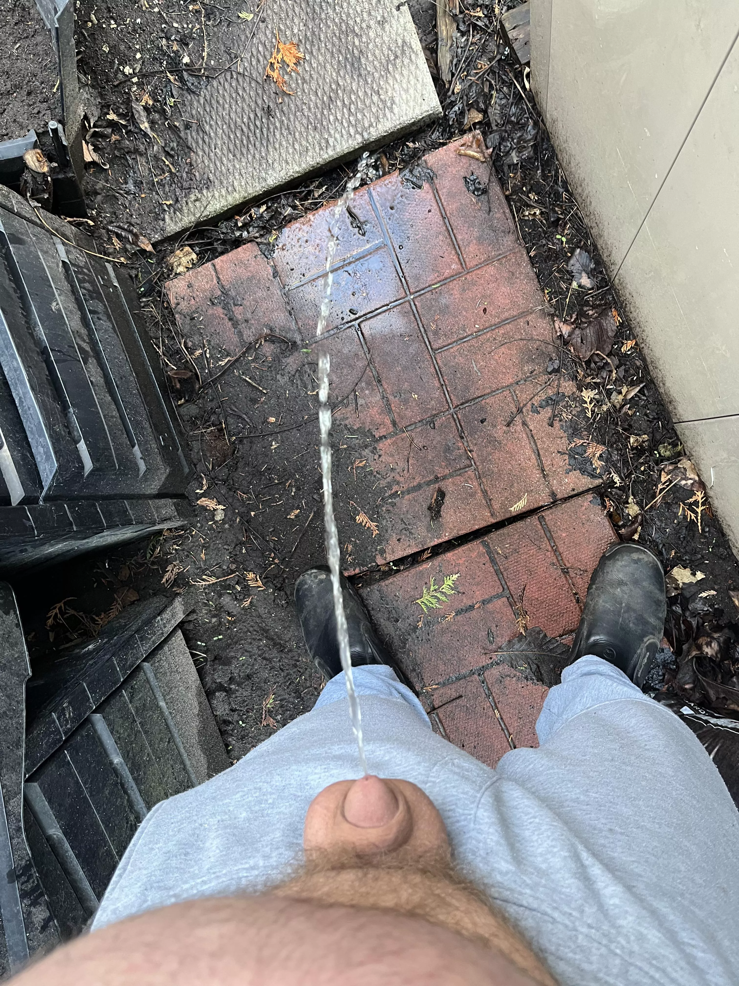 Unloading beers behind the shed posted by capitalcub