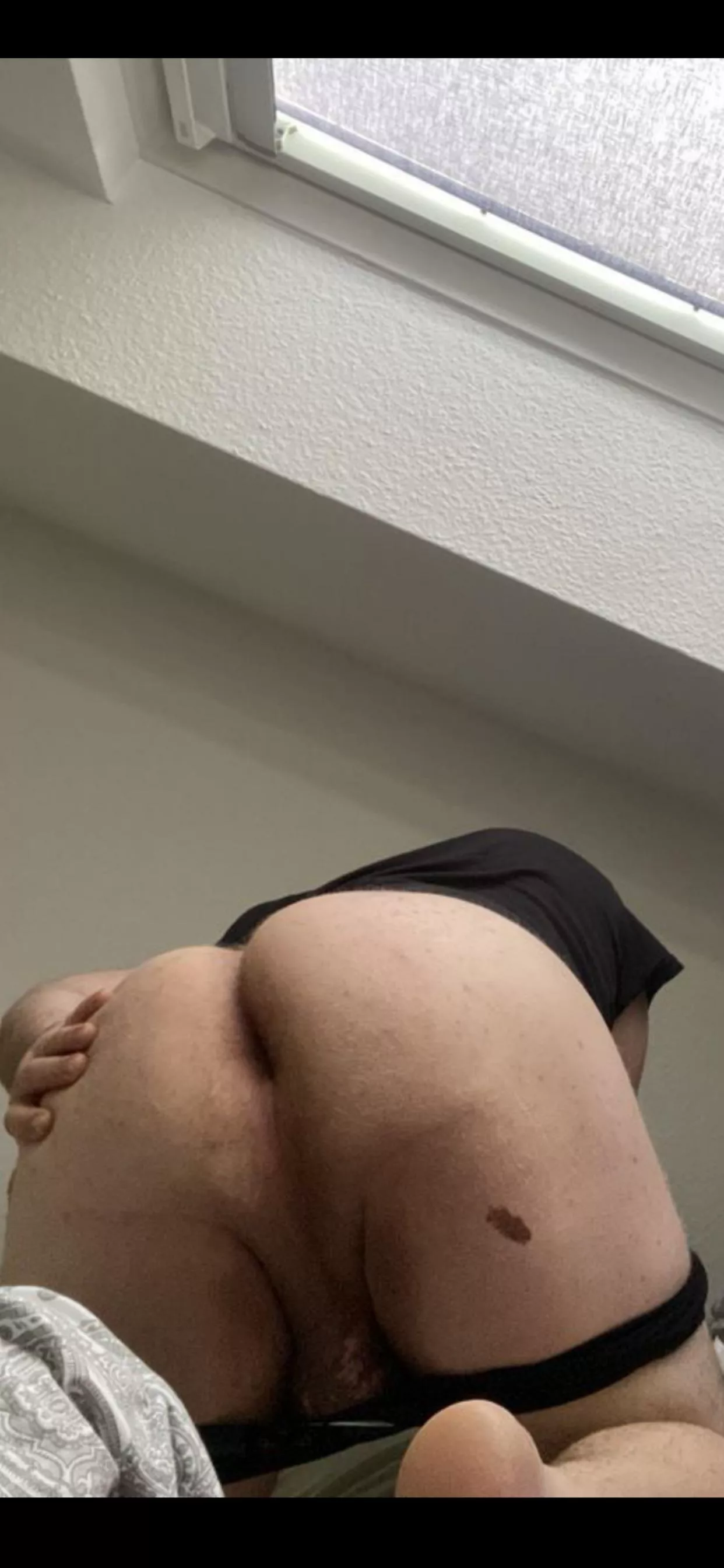 Would you breed me? posted by No-Celebration-6132