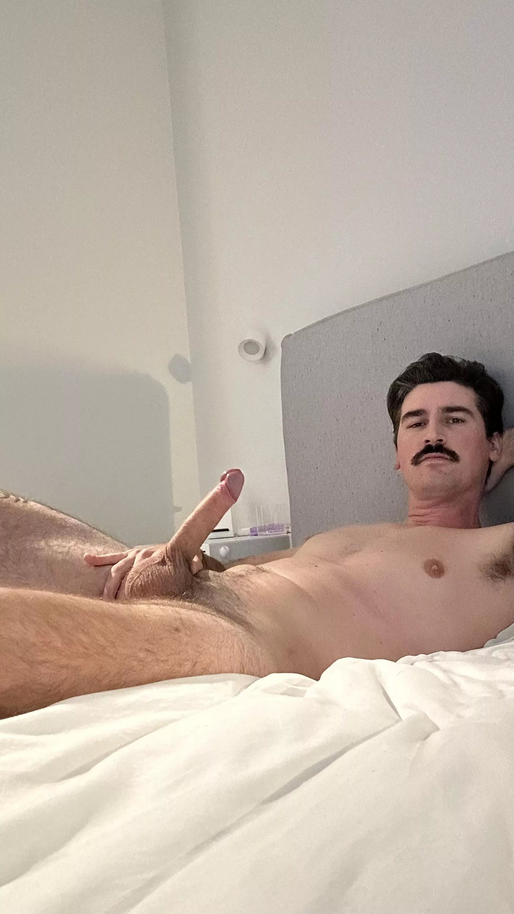 [33] what’s up posted by Mysterious-Tax6408