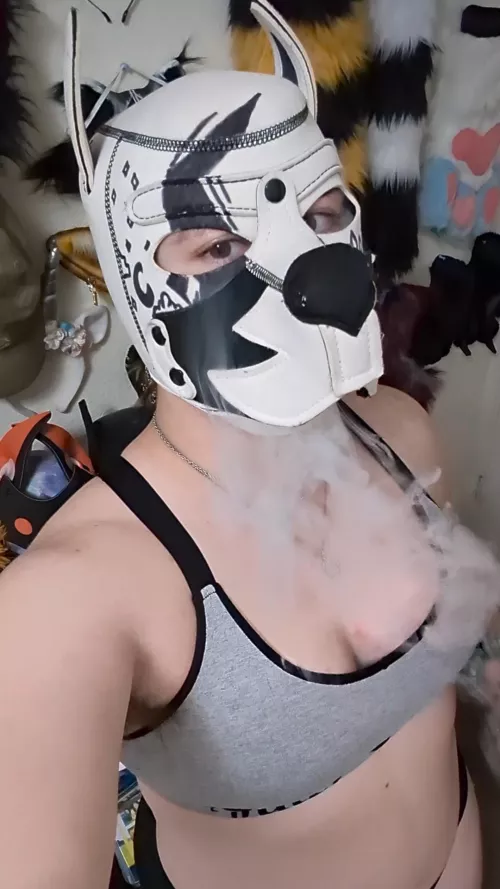 420 🍃 by pup-atlas-