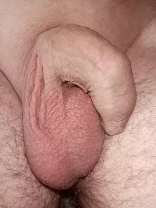 (46)  by AssignmentNo2060