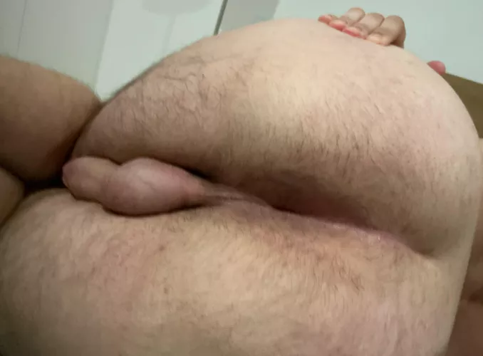 Anyone eat this ass? by Zealousideal_Road512