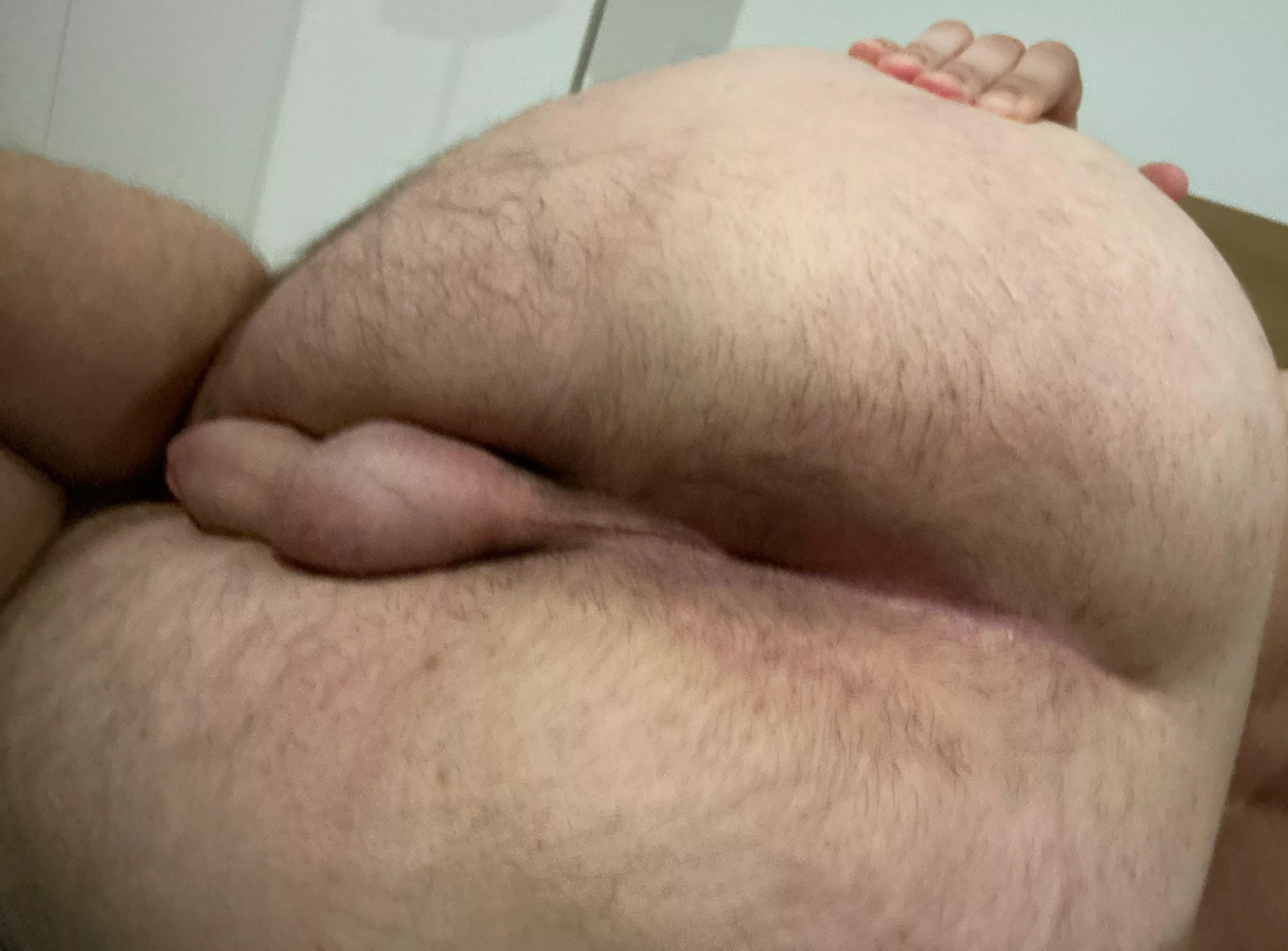 Anyone eat this ass? posted by Zealousideal_Road512