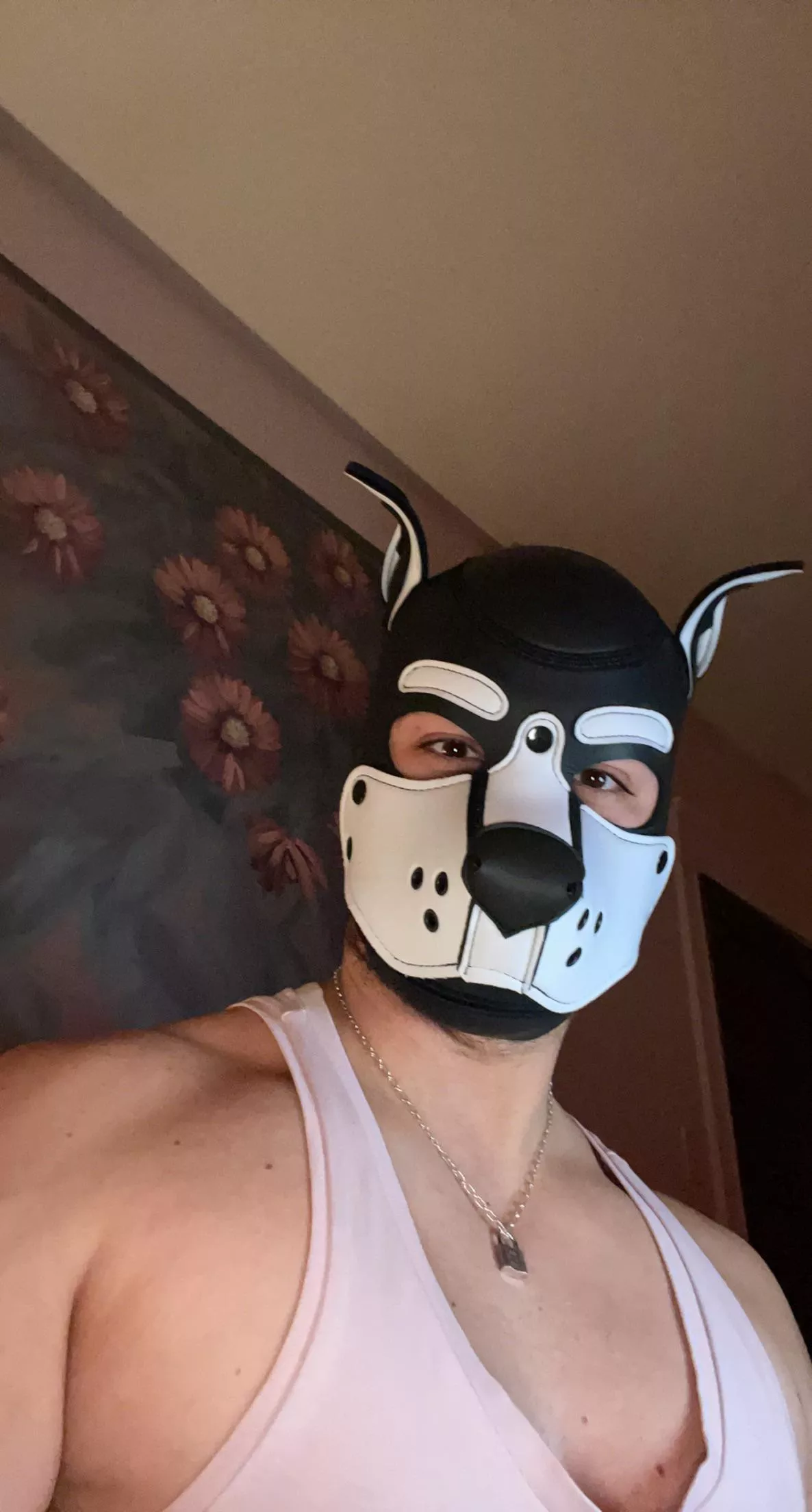 Bark bark  posted by zklorenzo