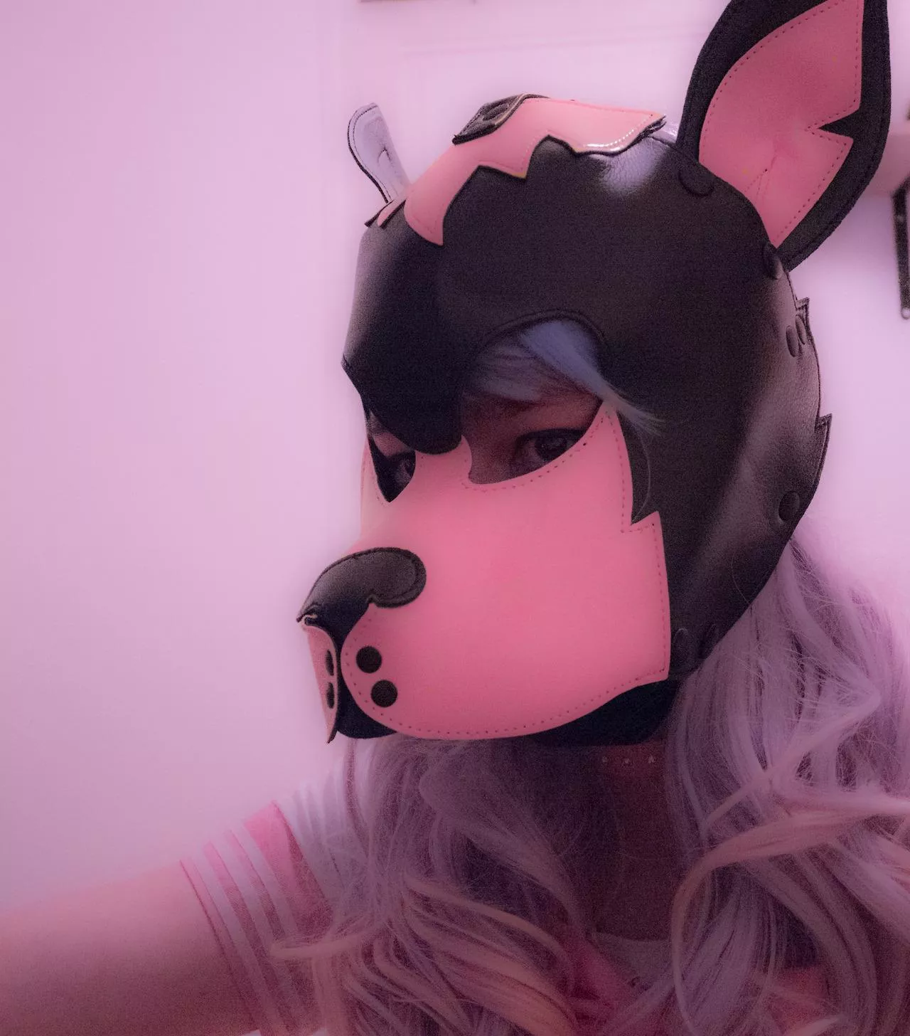 clumsy puppy looking for cuddles :3 posted by cudiichan