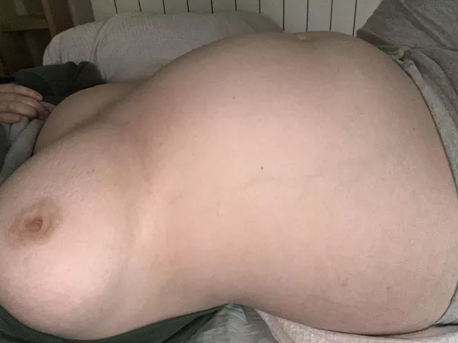 cow 🐄 by ConsequenceFrosty678