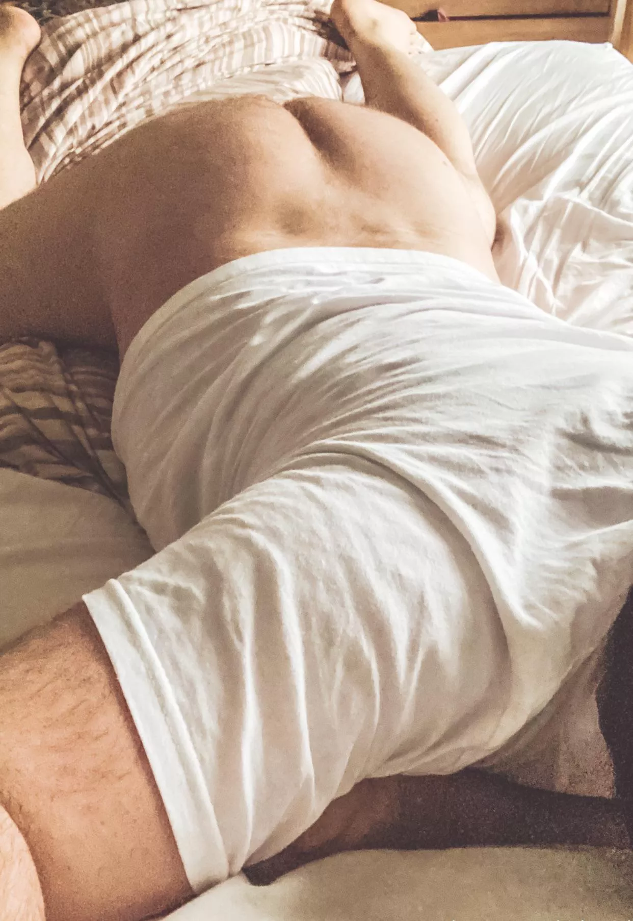 Cute enough for here ?? posted by Scottishbibeard