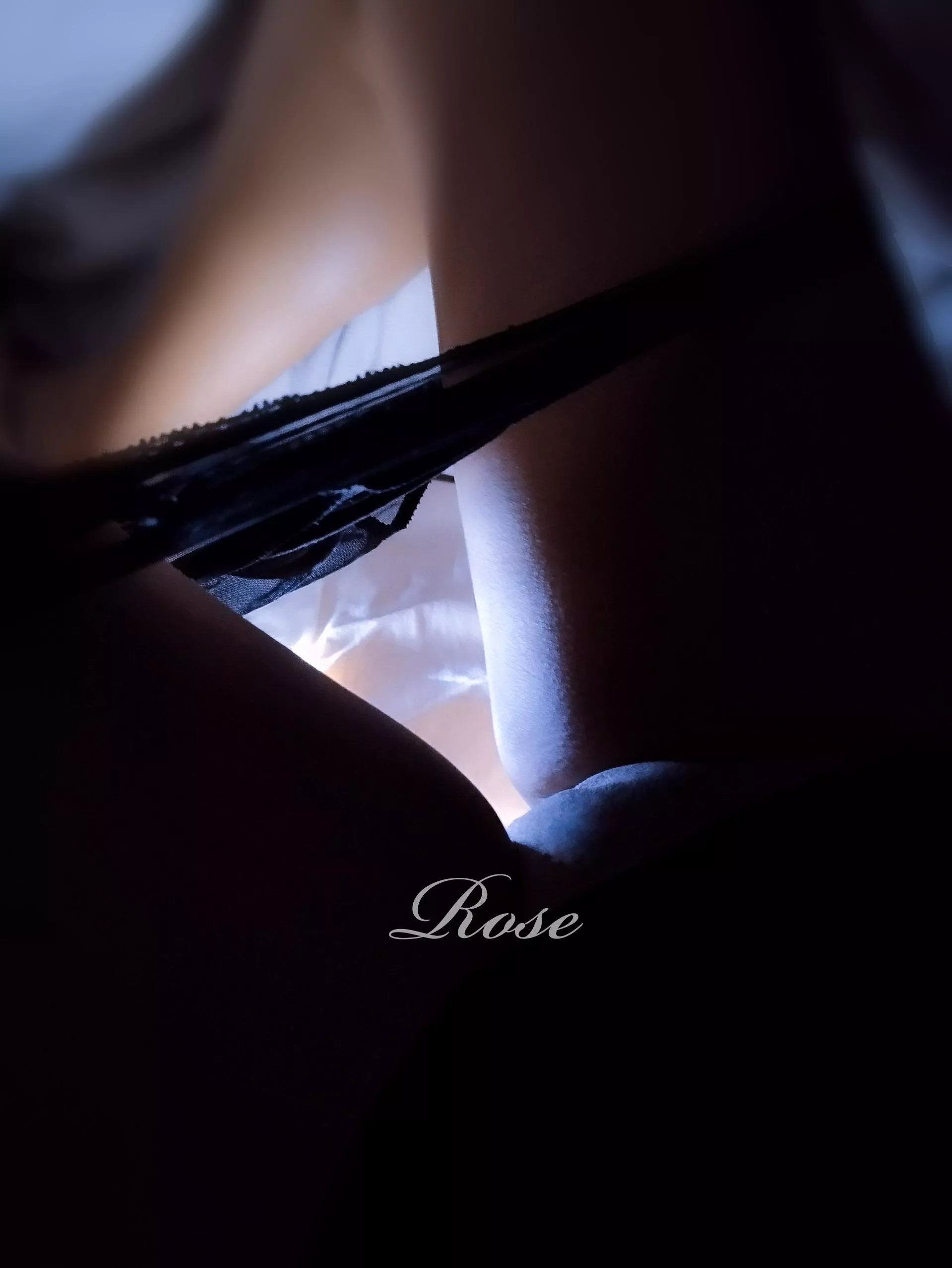 Dark light  posted by Free_Rose_