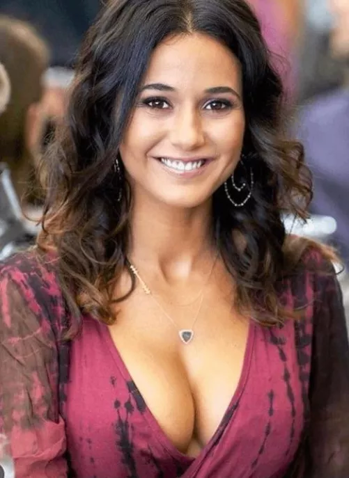 Emmanuelle Chriqui by wakkaffx2