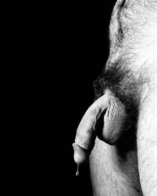 Glistening drip... by jerseyjaxoff