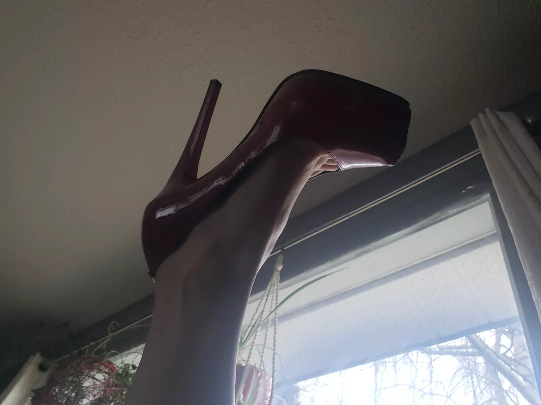 High in the air 🥰 posted by bettykinks