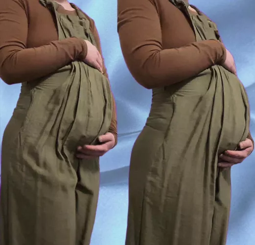 how many months preggo is it giving? by BrickEconomy7719