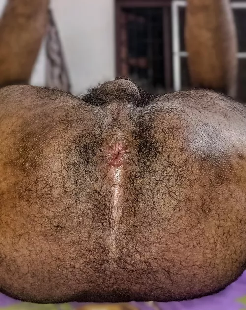 I try not to think about the hair down there by No_Housing_1774