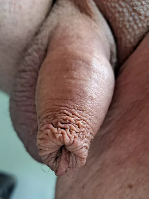 Lazy Sunday  by Dangerous-Device3708