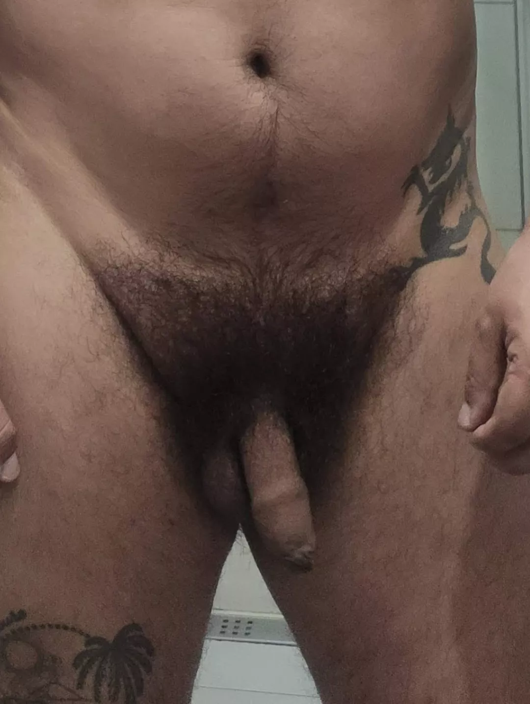 My bush!  posted by Pitiful_Shock_7751