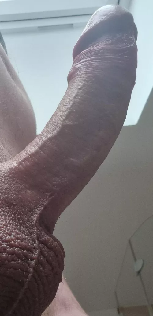 my pecker by herkosky85