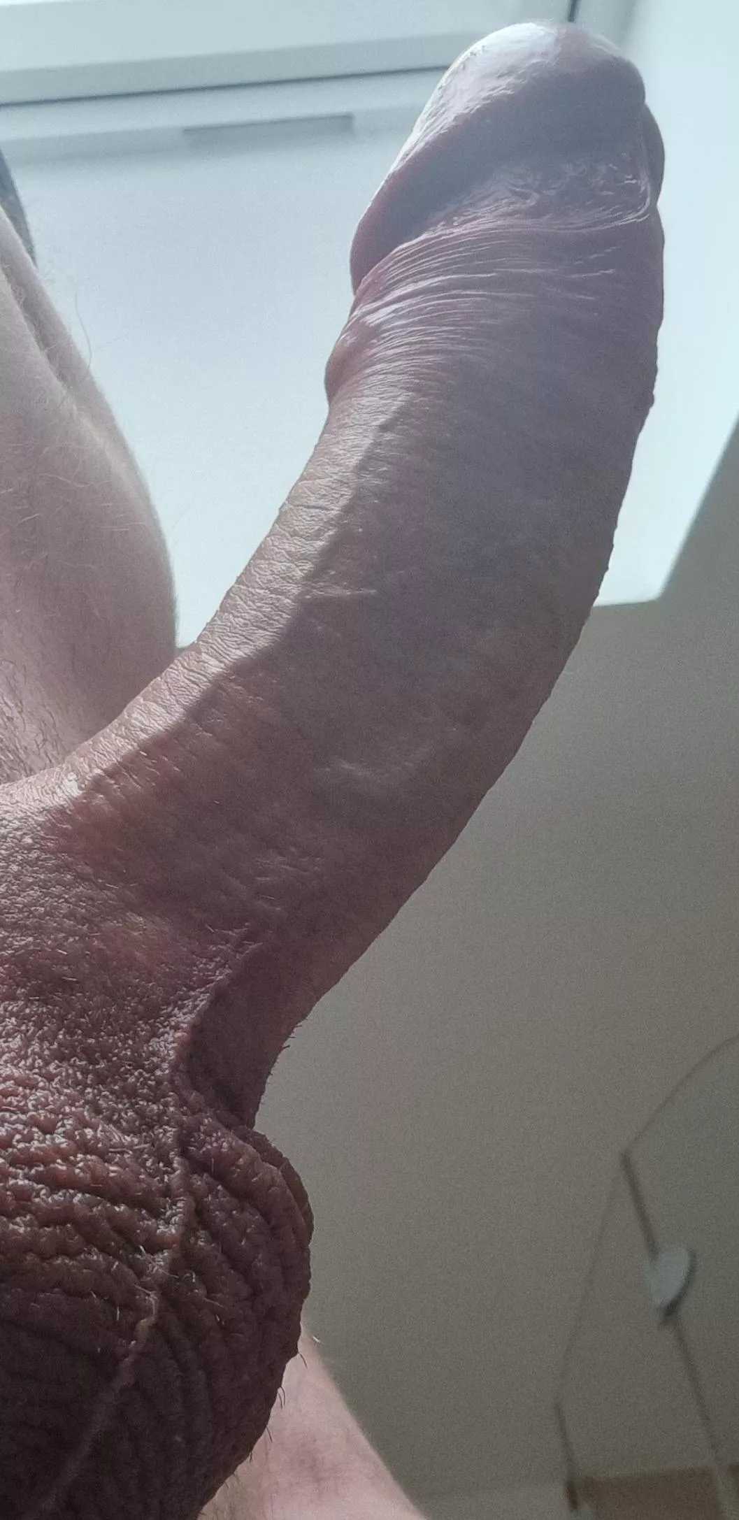 my pecker posted by herkosky85