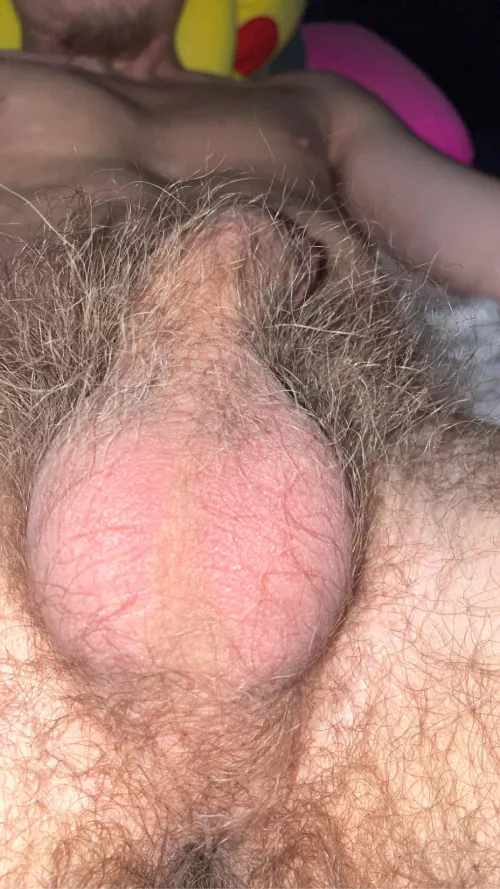 Never shaved? Should I? by Bitter_Damage6626