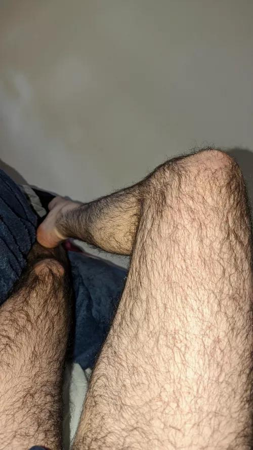 Not insanely hairy. by Anxious_Ananas_643