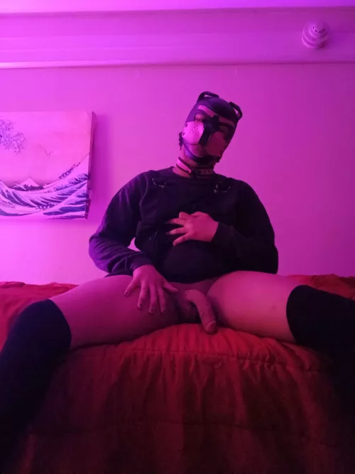 See something you like? by PupAries_