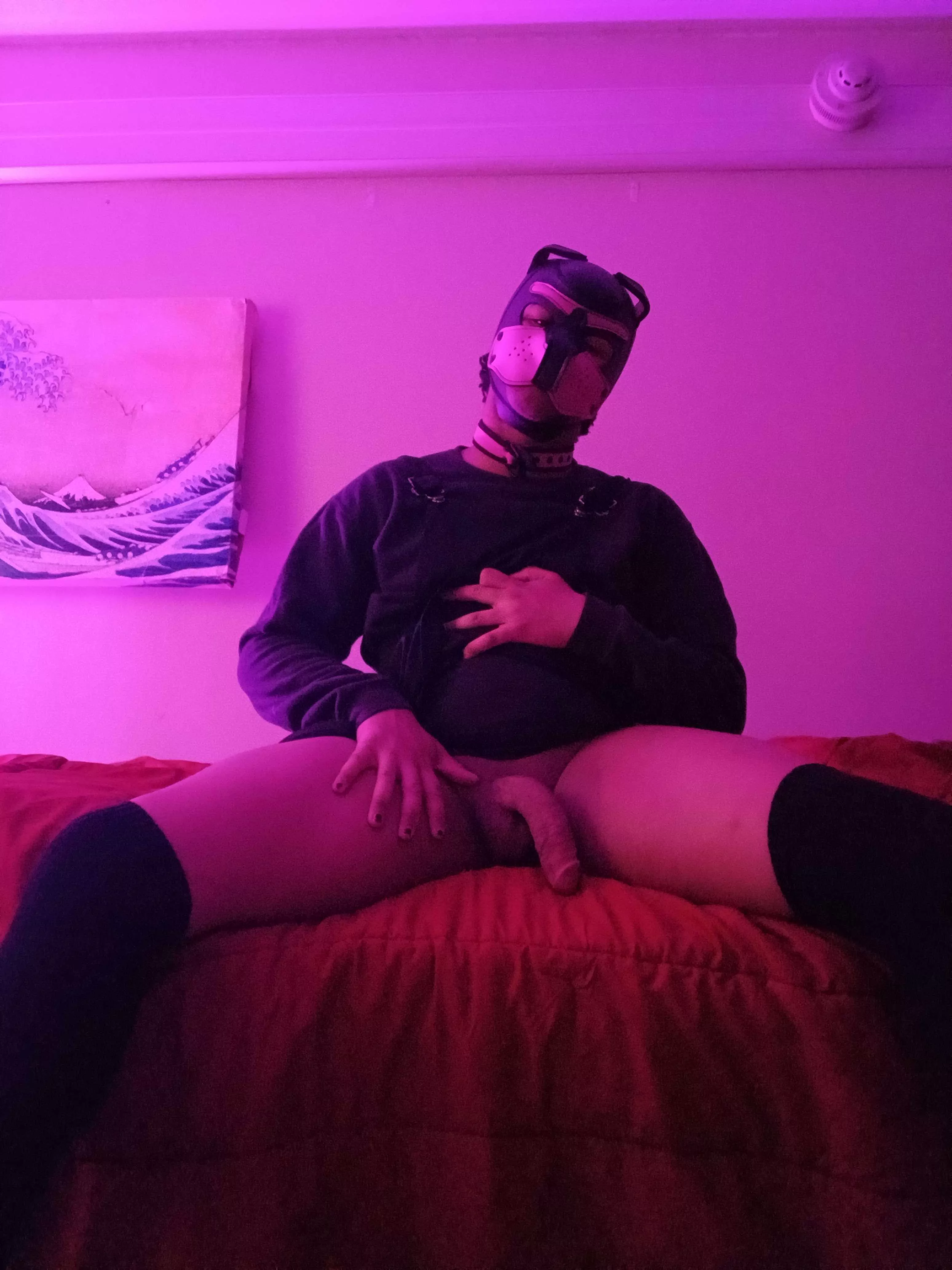 See something you like? posted by PupAries_