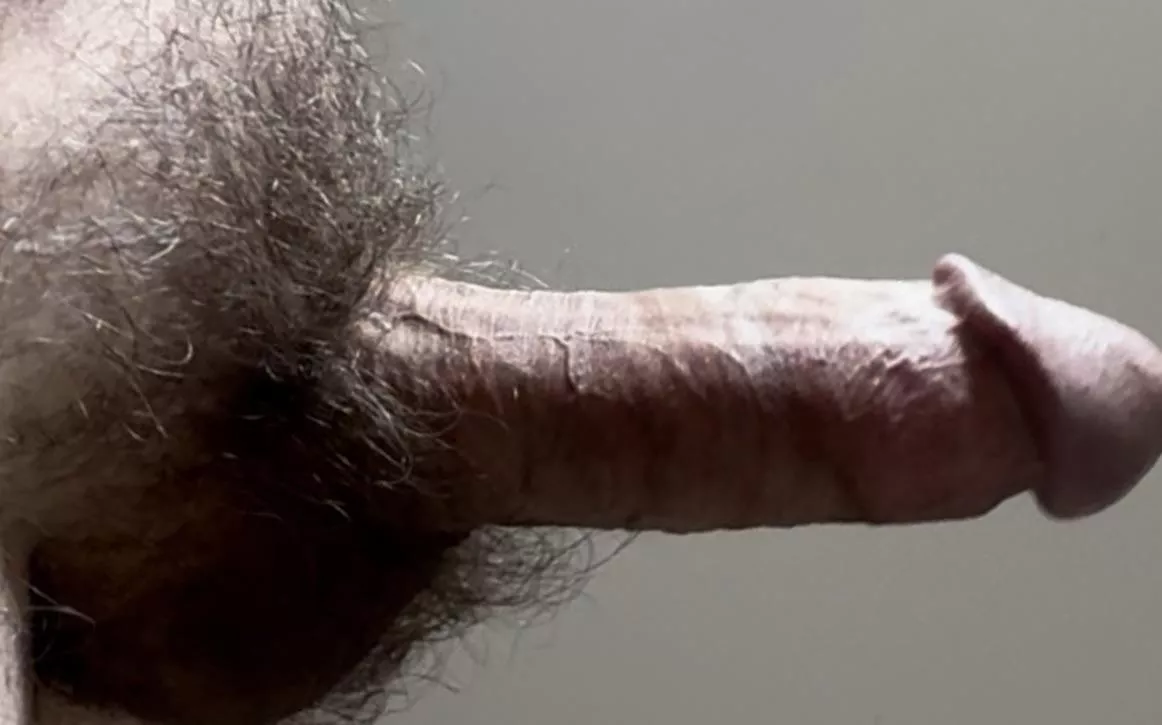 Suck my alpha dick posted by Anonymuss11