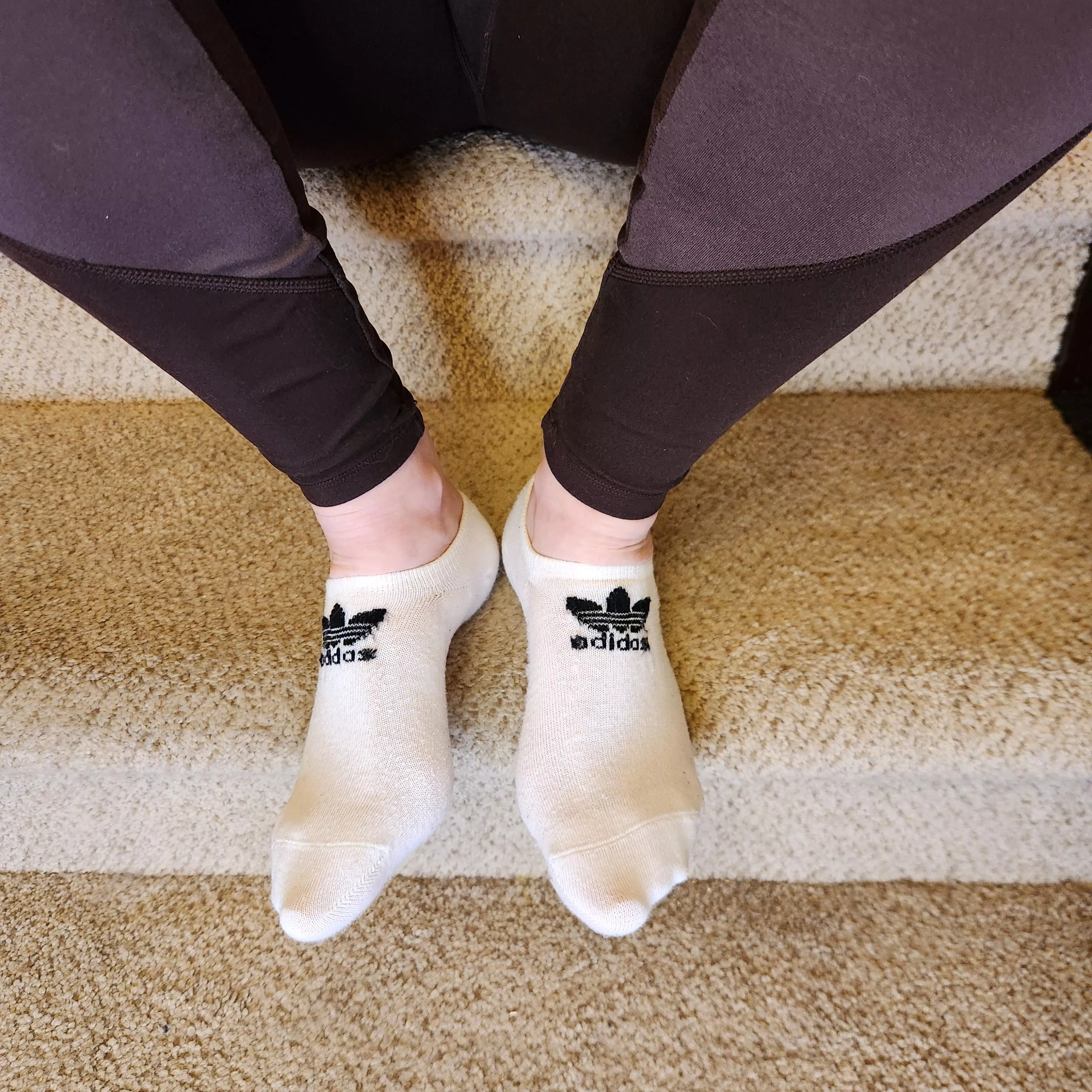 These are just perfect white no shows. Hope they stay that way  posted by leggingsgirl15