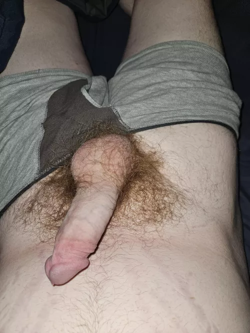 Trade? Dm me. by Maximum_Wafer9738