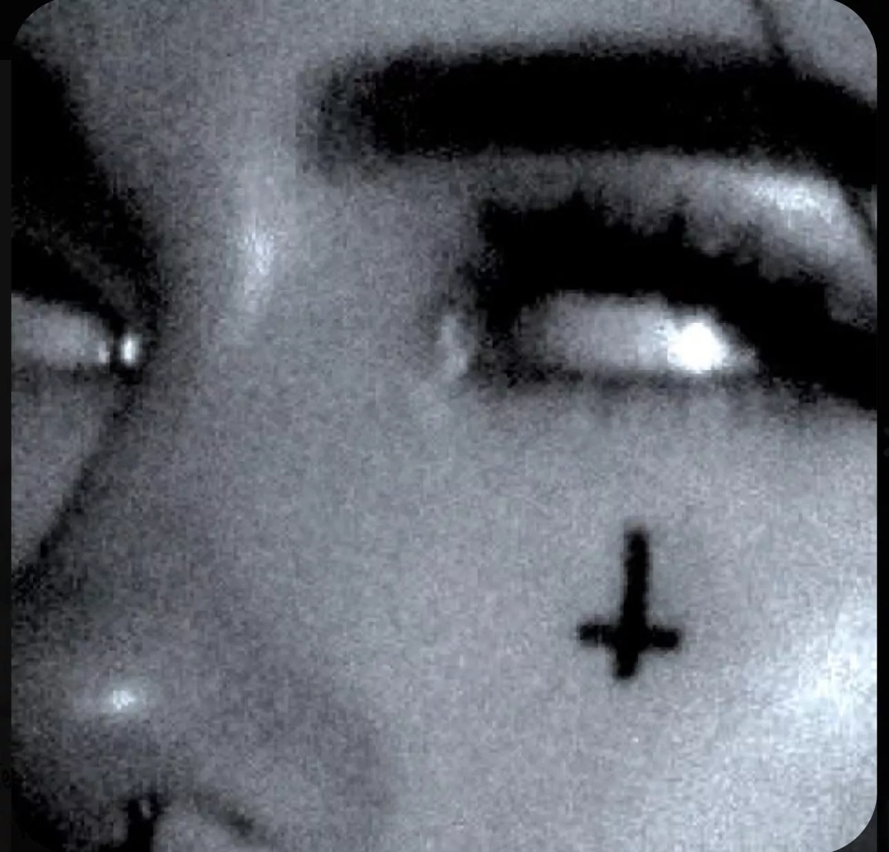 wake up n worship, wimps 🐦‍⬛ posted by Shaken_nevercured