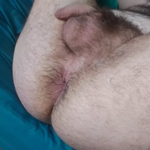[27] love to show off my hairy hole by kcal18