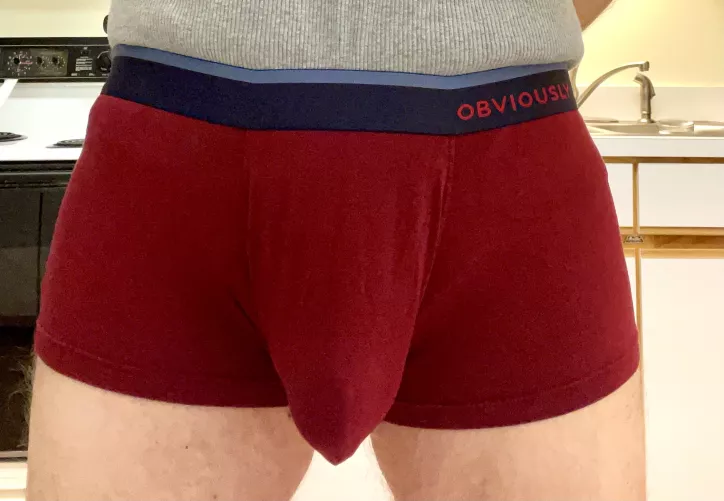 Always Liked Maroon by shyishguyish