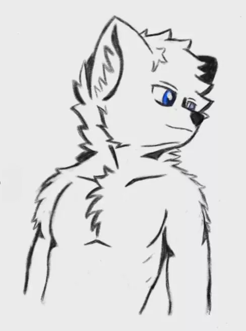 Can you tell I like guys? (art by me) posted by AnsoyyTheFox