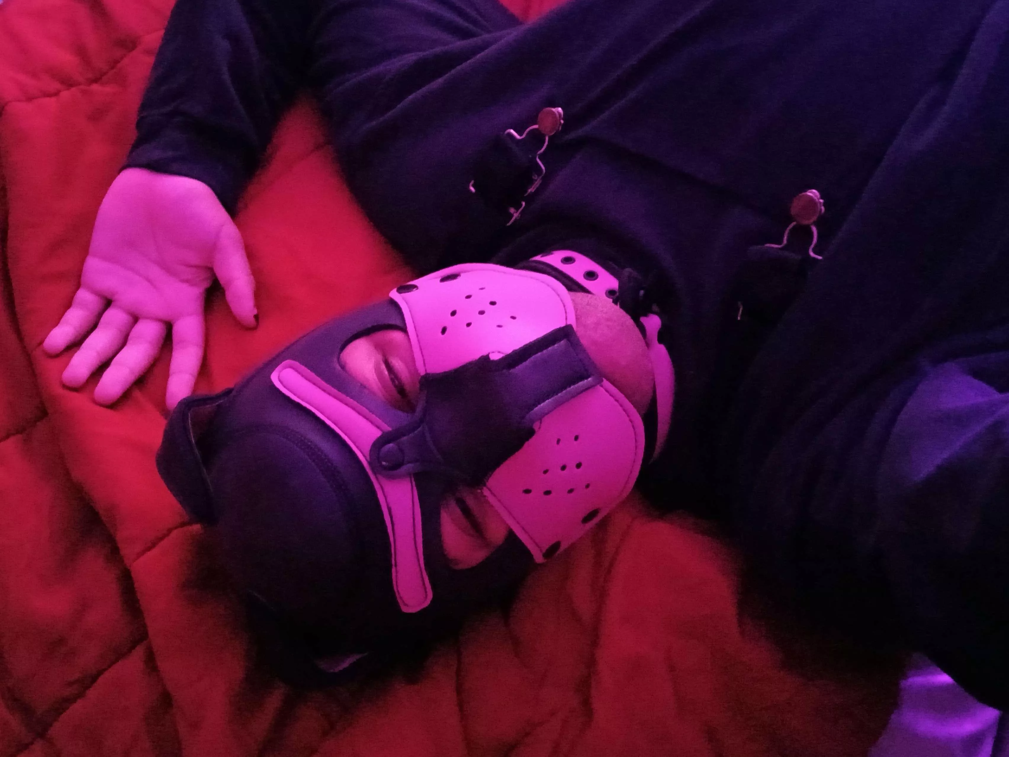 Come lay down with me posted by PupAries_