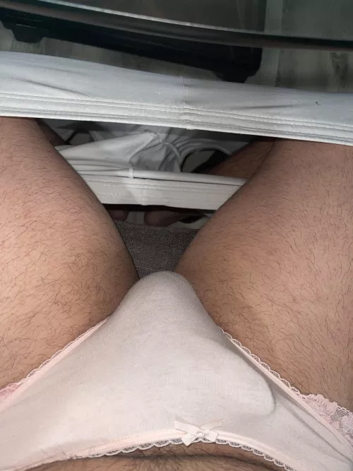 do you like my bow tie? ;) by boricuamami2