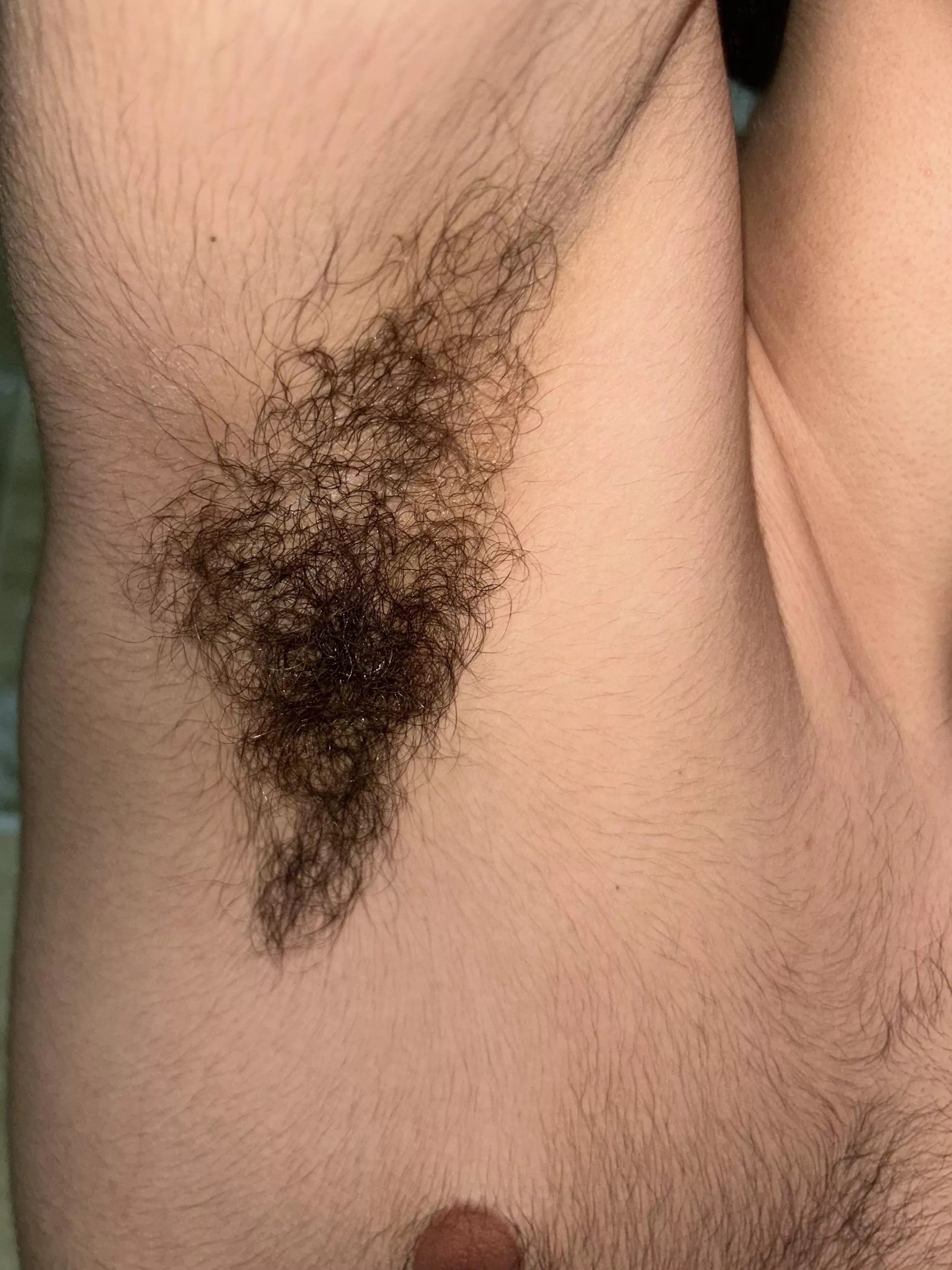 Do you like young hairy pits? posted by joshwhite3721
